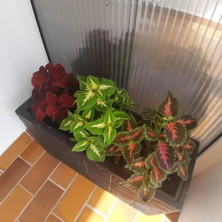 Ksenija Apartment *
